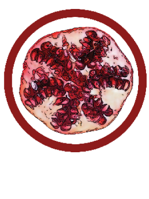Rimon Play School and Nursery School Logo